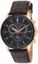 Citizen Eco-Drive Perpetual Calendar Analog Black Dial Mens Watch-BL8156-12E...