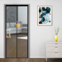 Classic Mosquito Net for Door Fiberglass Magnetic Curtain Auto Closing (200X100cms, Black)...