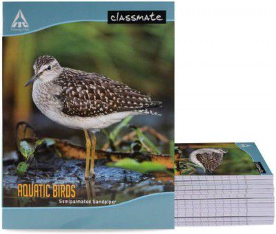 Classmate Notebook Regular Notebook Four Lines with Gap 172 Pages  (Multicolor, Pack of 12)