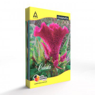Classmate Notebook Single Line 72 Pages 240 mm x 180 mm Pack Of 4