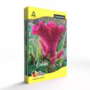 Classmate Notebook Single Line 72 Pages 240 mm x 180 mm Pack Of 4...