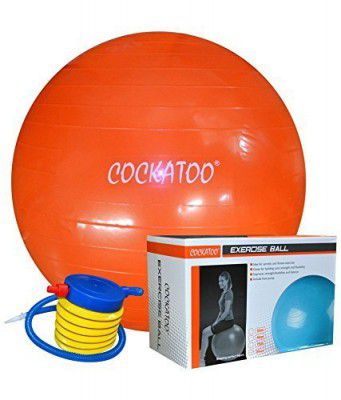 Cockatoo Anti-Burst Gym Ball ( 55 Cm to 95 Cm) with Foot Pump, Exercise Ball