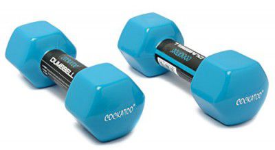 Cockatoo Unisex Metal Integrated PVC VINYL Dumbbell (Pack Of Two) ; PVC Dumbbells