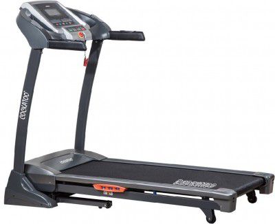 Cockatoo Warm-Up Treadmill