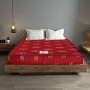 COIR FIT Beetle 4-inch Queen Size Coir Mattress (Multicolour, 75x66x4)...