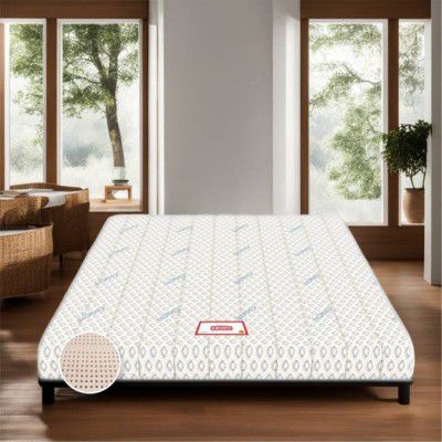 COIRFIT 7-Zone LATEX with Talalay Tech 8 inch Double Latex Foam Mattress  (L x W: 84 inch x 48 inch)