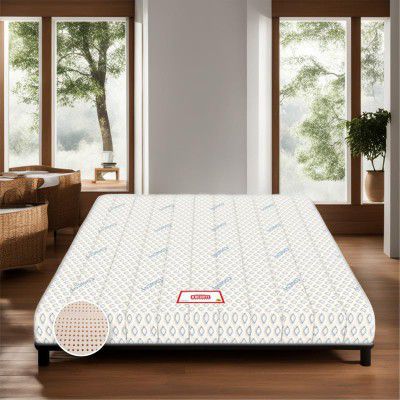 [Extra Rs 1679 Off] Coirfit BIOLIFE 7-Zone Latex Talalay Tech. 8 Inch Single Size Latex Foam 72X36 Inches | Bed Mattress 
