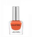 Colorbar Colorbar Luxe Nail Lacquer, Adore 113, 12ml...