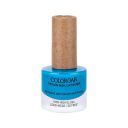 Colorbar Vegan Nail Lacquer - So Cold, 8ml