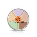 Colors Queen Light Weight Multi-Purpose Matte Concealer Color Corrector Palette | Creamy Matte Finish, Easy to Blend Hydrating Formula | Long Lasting & Waterproof Concealer for Face Makeup (02)...