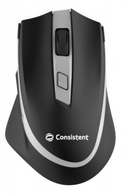 Consistent Fusion Wireless Mouse (MG1151)