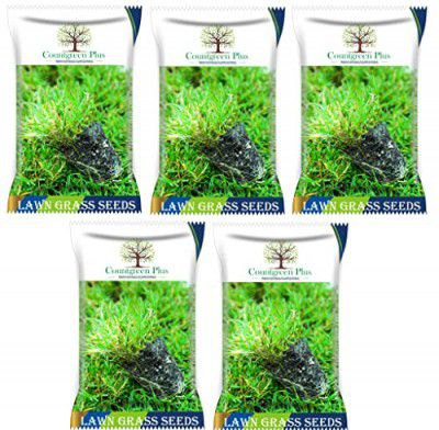 Countgreen Plus Lawn Grass Bermuda Seeds Lawn Grass Organic Seeds For Garden, Lawn, Sport Ground 500 Seeds (5 Combo, 500 Seeds Each Pack)