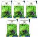 Countgreen Plus Lawn Grass Bermuda Seeds Lawn Grass Organic Seeds For Garden, Lawn, Sport Ground 500 Seeds (5 Combo, 500 Seeds Each Pack)...