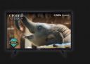 Croma (32") HD Ready LED TV with A+ Grade Panel (2021 model)...