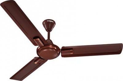 Crompton CFHSAMO48BGS1S with 1 Year Warranty 1200 mm Ceiling Fan
