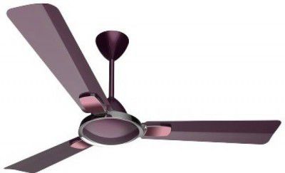 Crompton HS Markle Prime 1200 mm Anti Dust 3 Blade Ceiling Fan