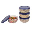Cutting EDGE Eco-Storage Plastic Container Set for Kitchen & Refrigerator, Set of 4...