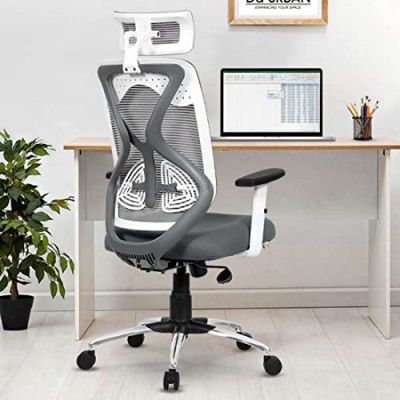 Da URBAN Merlion Office Chair,High Back Mesh Ergonomic (Grey)