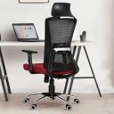 Da URBAN® Rover High Back Revolving Mesh Office Executive Ergonomic Chair with 3 Years Warranty, Adjustable Armrest & Fixed Headrest, Long Day Comfort, (Red)...