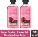 Dabur Gulabari Body Wash Shower Gel - Himalayan Rose & Oudh | 100% Soap free (2 x 250 ml)...