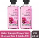 Dabur Gulabari Body Wash Shower Gel (Combo Pack) - Damask Rose & Jojoba Oil | 100% Soap free  (2 x 250 ml)...