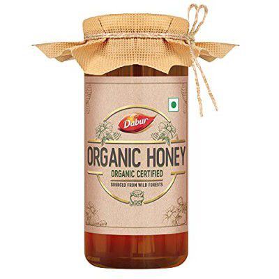 Dabur Raw Organic Honey 300g | 100% Pure and Natural 