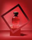 Daniel Klein Red Night Women Perfume Eau de Parfum...
