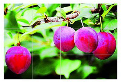 Decals Creation Kitchen Wall Sticker (Multicolor, Size - 50 Cm X 68 Cm) Ice Cherry Fresh Fruits Kitchen Wall Sticker
