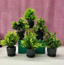 Dekorly 6 Packs Fake Plants Small, Mini Artificial Plants Indoor For Home Farmhouse Bathroom Shelf Décor (Height : 17Cm, Black) - Plastic...