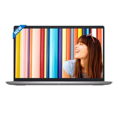 Dell Inspiron 3525 AMD Ryzen 3 5th Gen D560764WIN9S Laptop (8GB RAM | 512GB ROM)