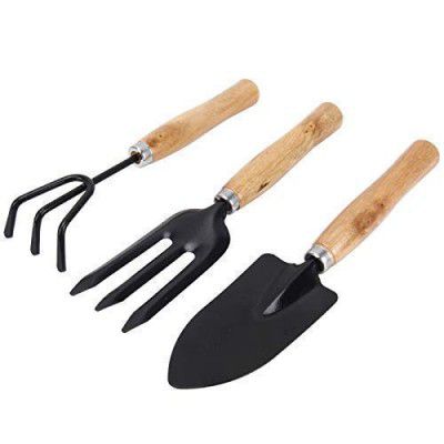 DeoDap Small Sized Hand Cultivator, Small Trowel, Garden Fork (Set of 3)
