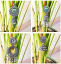 Desi Jhumka  Latest 4 Pair Jhumka Combo | Oxidised Earrings | Earrings for Women Girls 2024 Alloy Chandbali Earring, Jhumki Earring, Stud Earring...