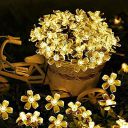 Desidiya® 16 Flower LED Curtain String Window Lights Indoor/Outdoor Decoration for Diwali, Christmas, Wedding, Party, Home, Patio Lawn Corded Electric...