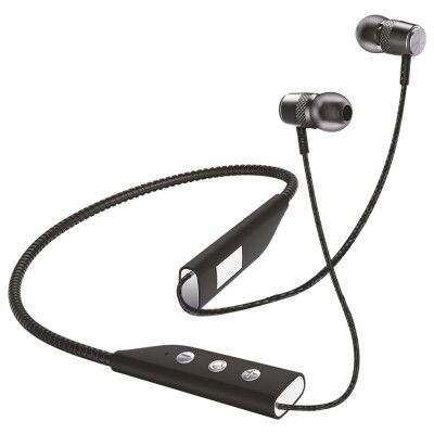 Detel Jogger In-Ear Wireless Earphone with Mic (Bluetooth 5.0, Hi-Fi Sound Quality, Grey)