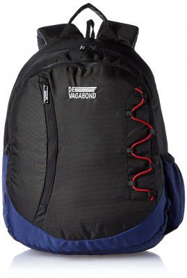 Devagabond Rebond Shine 30 L Capacity Polyester Casual Backpack