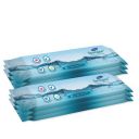 Dignity Spongee Soft Body Cleansing Wet Wipes for Adult, 240x300 mm, 10 Wipes/Pack (Pack of 6), 60 Wipes...