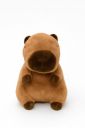 Dimpy Stuff Stuffed Animal – Capybara 25 cm (10") – Viral Premium Plush Gift Idea Kids Adults...