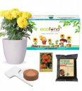 DIY Growkit for Marigold- Grow it Yourself...