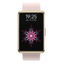 Dizo by realme TechLife Watch S DW2122 Smartwatch...