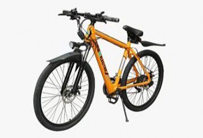 DMW Electra Electric Bicycle