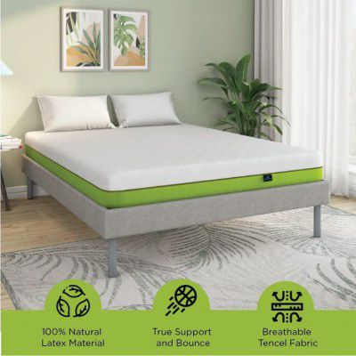 Doctor Dreams by Nilkamal ECOAIR™ 100% Natural Latex Foam Mattress