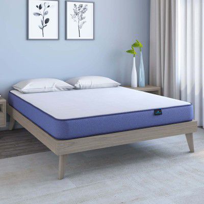 Doctor Dreams by Nilkamal Plus Memory Foam 6 Inch Orthopaedic Mattress