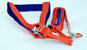 DOGISTA PET Products Dog MUKHMAL Leash Harness Set 1.50, Extra Large...