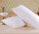 DONDA Microfibre Solid Sleeping Pillow Pack of 2  (White)...