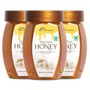 Dr Morepen Honey Multi Flora 250Gm - Pet Jar Pack Of 3...