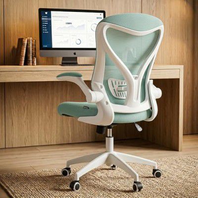 DROGO Marshal lite Premium Ergonomic Office Chair for Work from Home, High Back Computer Chair with Mesh, Flip-up Armrest, Recline, Adjustable Seat & Lumbar Support | Mesh Chair for Office (Blue)