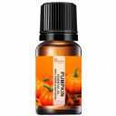 Drontika Wild & Pure Pumpkin Seed Essential Oil (Cucurbita pepo) Cold Pressed (Pack Of 1-10 ml., Pumpkin)...