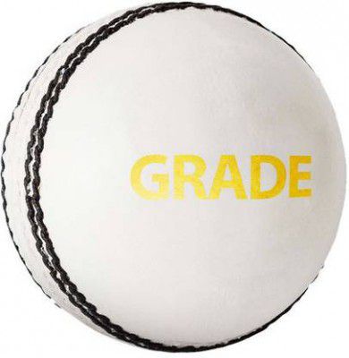 DSC Grade Cricket Leather Ball  (Standard, White, Gold)