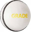 DSC Grade Cricket Leather Ball  (Standard, White, Gold)...