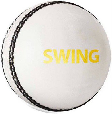 DSC Swing Cricket Leather Ball (Standard, White, Gold)